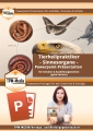 PowerPoint Präsentation: Tierheilpraktiker – Sinnesorgane (Download) .pptx
