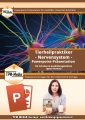 PowerPoint Präsentation: Tierheilpraktiker – Nervensystem (Download) .pptx