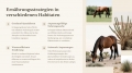 Bild 10 von PowerPoint Präsentation: Welt der Pferde – Lehrmaterial für Ausbilder und Schüler (Download) .pptx